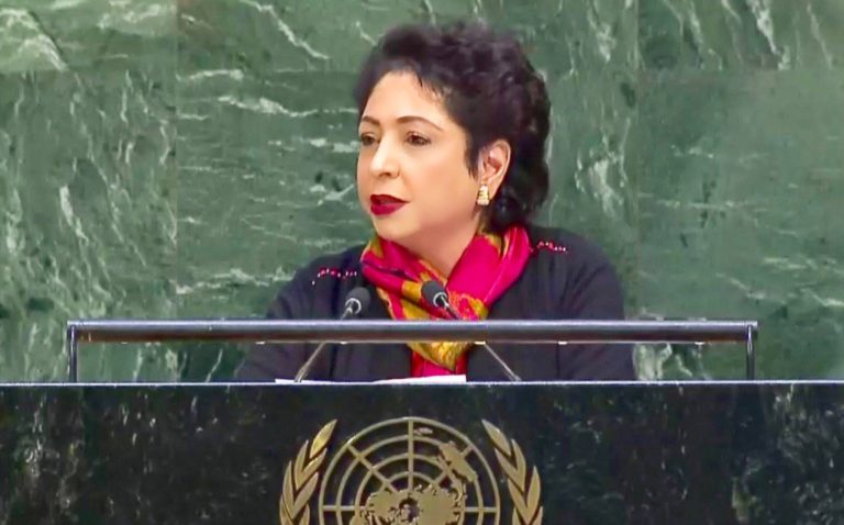 سی پیک سے خطے میں خوشحالی آئے گی، ملیحہ لودھی