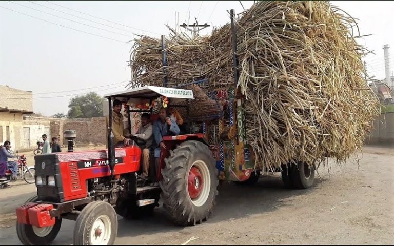چینی کیس،  گنے کے کاشتکاروں کا بھی اسلام آباد ہائیکورٹ سے رجوع