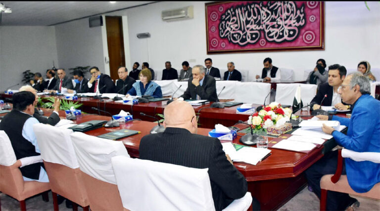 اقتصادی رابطہ کمیٹی کا اجلاس، ایف بی آر کی استعداد بڑھانے کے لیے 4 ہزار152 ملین روپے گرانٹ کی منظوری