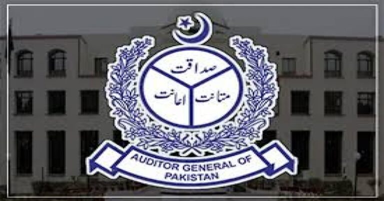 نقصان میں چلنے والے اہم اداروں کےفرانزک آڈٹ کے لیے ٹیم تشکیل