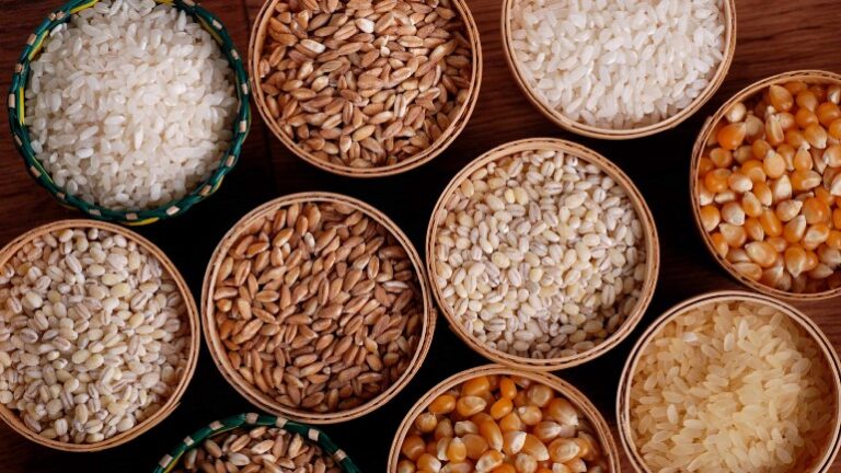 دنیا بھر میں غذائی اجناس کی قیمتوں میں ریکارڈ اضافہ