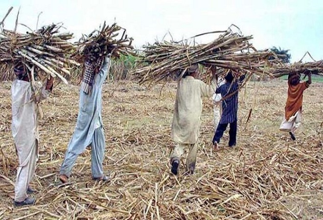 لاہور ہائیکورٹ نے کاشتکاروں کو دوسرے صوبوں میں گنا فروخت کرنے کی اجازت دیدی