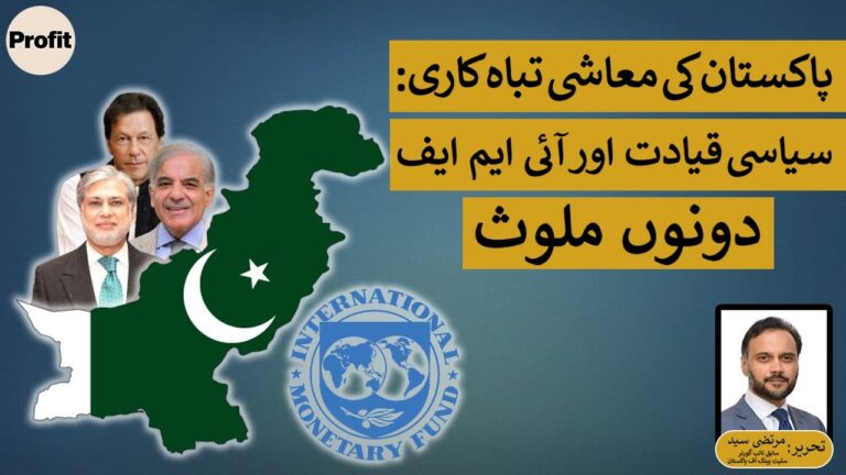 پاکستان کی معاشی تباہی میں سیاسی قیادت اور آئی ایم ایف دونوں ملوث