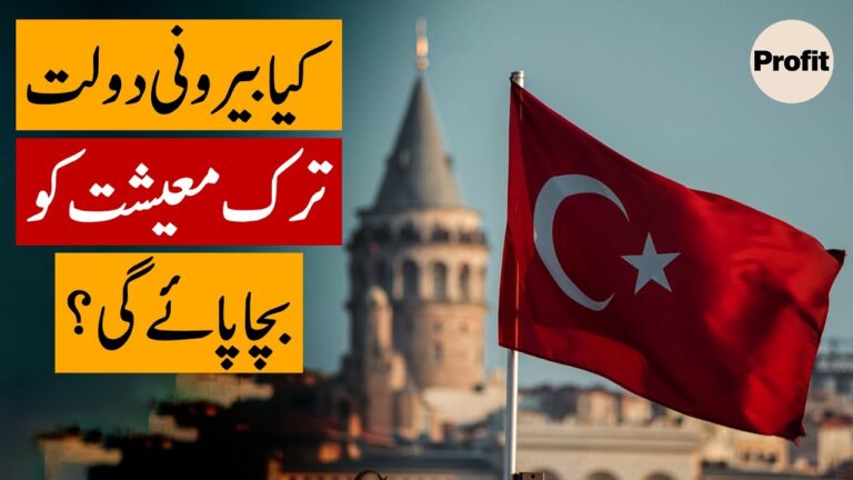 کیا بیرونی دولت ترک معیشت کو بچا پائے گی؟